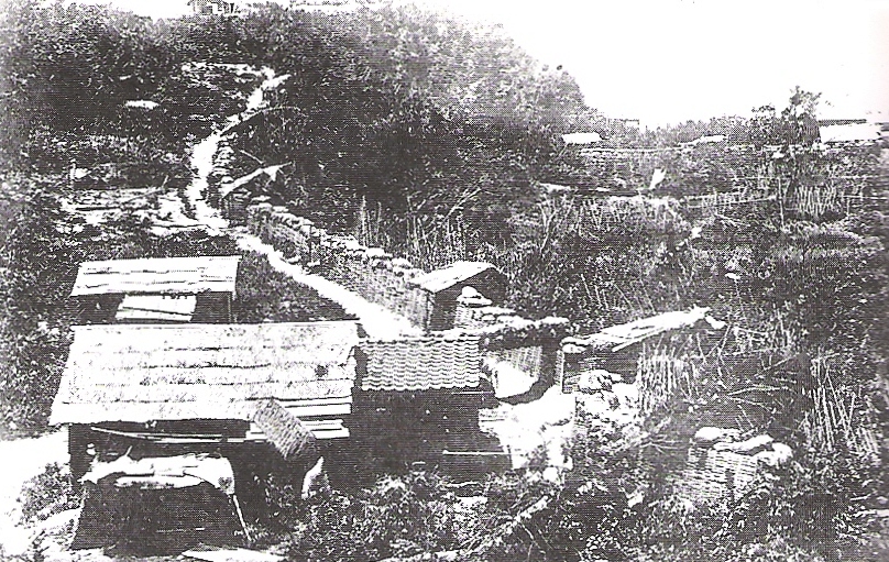 Imperial Japanese Army fortifications encircling Shiroyama, September 1877.